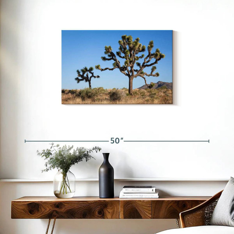 Parc national Harnek Joshua Tree, H 20 po x l 30 po