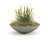 Oceanside Shallow Concrete Planter-714593618-714593640