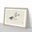 Herring Gull by Kono Baireir - Picture Frame Painting Print-55763063-55763066