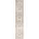 Haydel Machine Washable Area Rug in Ivory