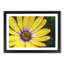 Yellow Gerbera Flower - Picture Frame Painting Print-56739795-56739796