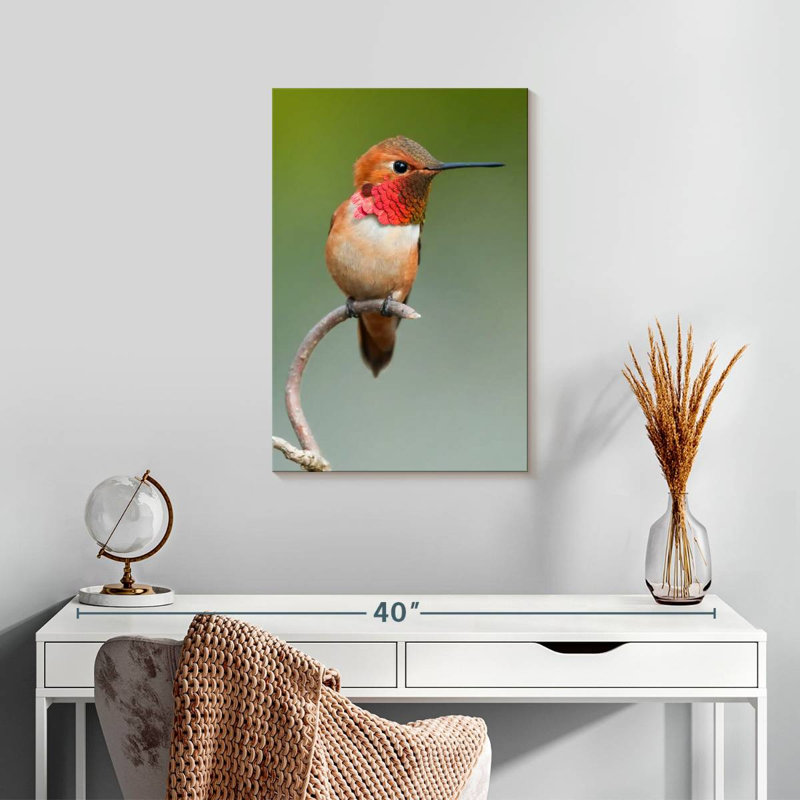 Brampt Male Rufous Hummingbird, 24" H x 16" W