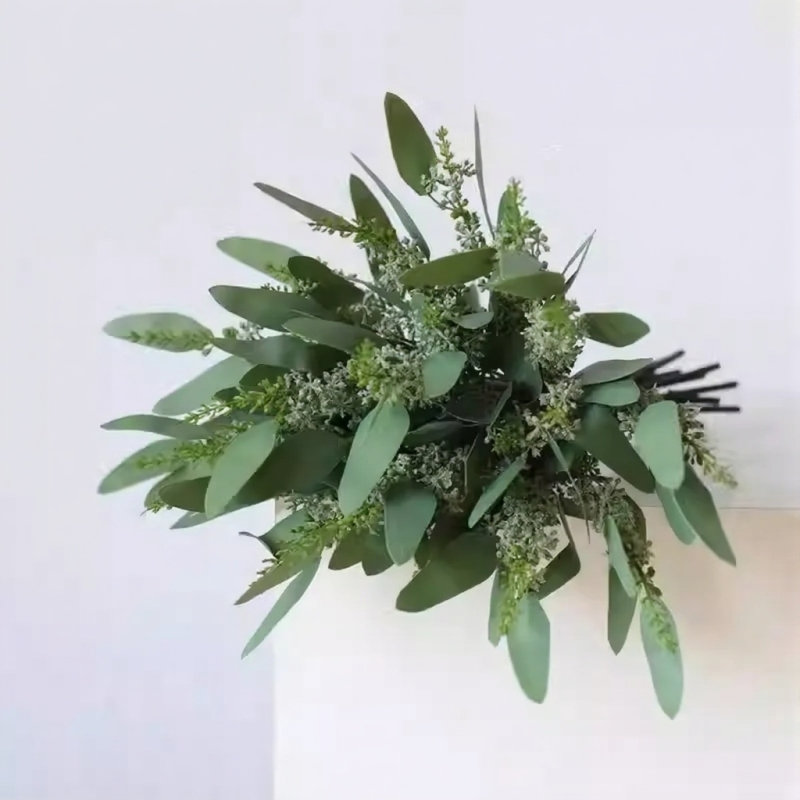 Tige d'eucalyptus ensemencé - 22,8 po, [D] 12 Stems