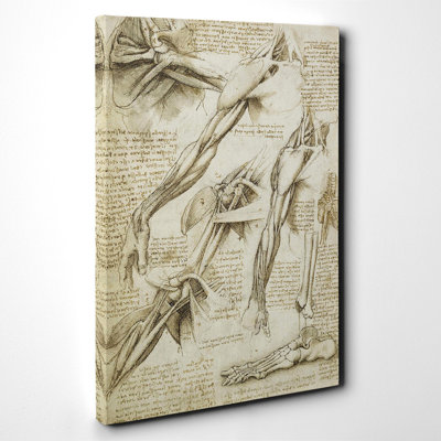 Leonardo Da Vinci - Wrapped Canvas Painting