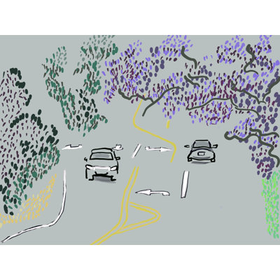 Jacaranda par Deborah Blum