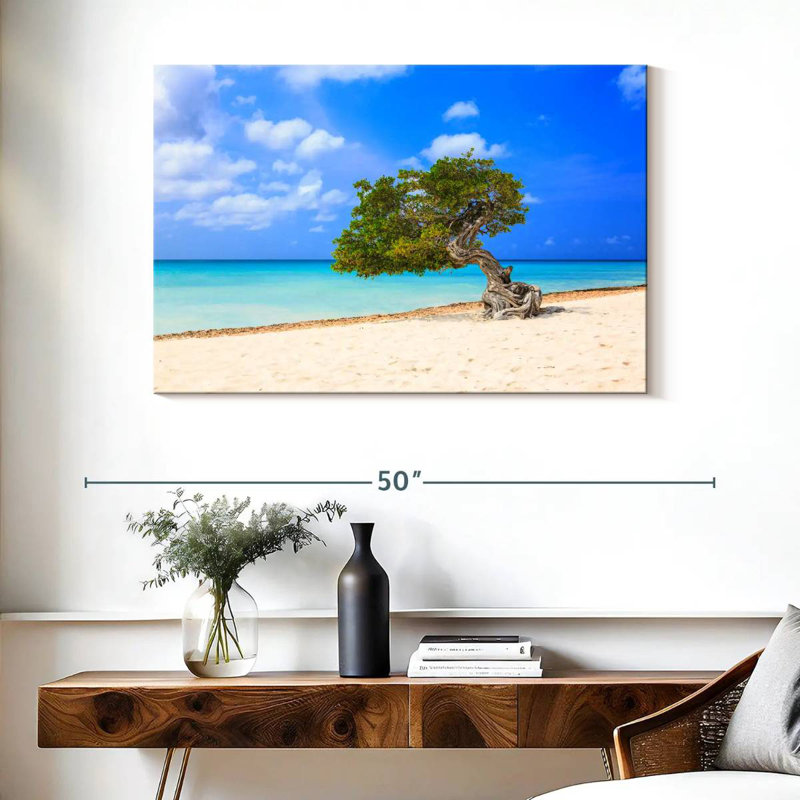 Lone Tree On Aruba Gillard