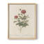 Imprimé floral rétro CLX III - impression encadrée-458933839-458933838