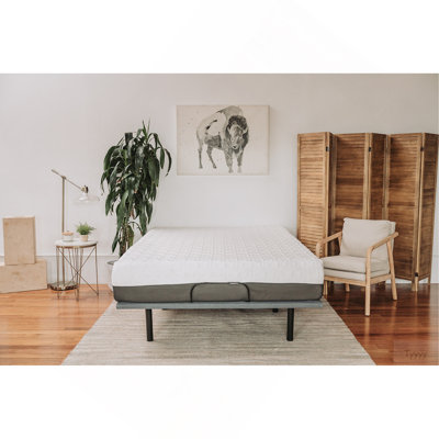 Omne Sleep 8" Gel Memory Foam Mattress Twin XL In White/Dark Grey