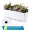Planter Box