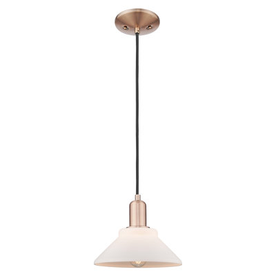 Arcadia - Orwell - Mini-luminaire suspendu à cordon 8 lumières 1 po