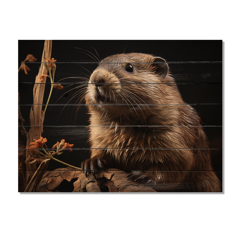 Portrait de castor sur bois, H 24 po x l 32 po x P 0,78 po
