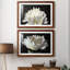 ALL AFLUTTER - ensemble de 2 reproductions-1761994157-1761994155-1778156556