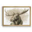 Bull Moose II - Reproduction d'art sur toile encadrée-1573759716-1573759717