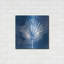 «Painted Sky Palm Leaf» par Linda Woods-1822864138