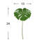 Philodendron Stem (Set of 2)