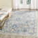 Osakis Performance Oriental Rug