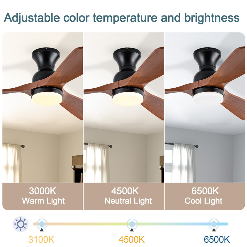 Ventilateur de plafond 42 po avec télécommande et ensemble d'éclairage inclus