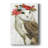 Timberland Christmas Collection B -Custom Wrapped Gallery Cavas