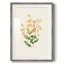 Estampe florale vintage LXII - Estampe botanique vintage, encadrée sous verre acrylique, décoration murale pour salon et salle à manger-278104861