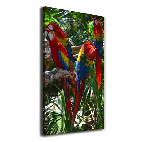 Walasse Ting Papageien Leinwandbild 75x150cm - Abstrakte Kunst Gerahmt Wanddekoration