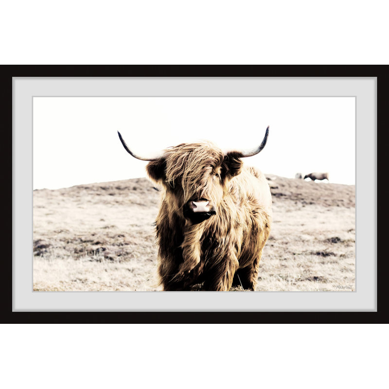 Cattle On A Hill - Single Picture Frame Print, 61cm H x 61cm W x 3.81cm D