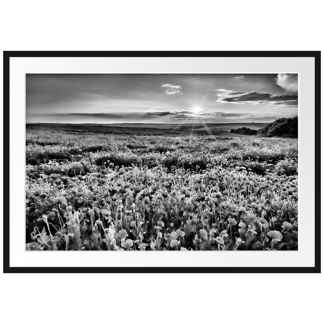 Gerahmtes Poster MohnblÃ¼tenfeld bei Sonnenuntergang