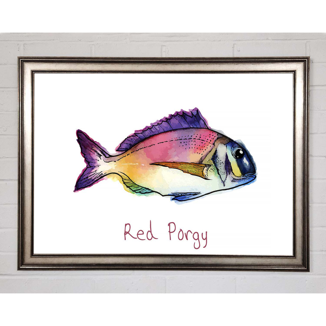 Red Porgy Rainbow Gerahmter Druck Wandkunst