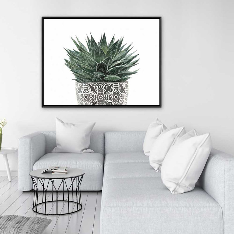 Plante zébrée succulente - Toile botanique exotique