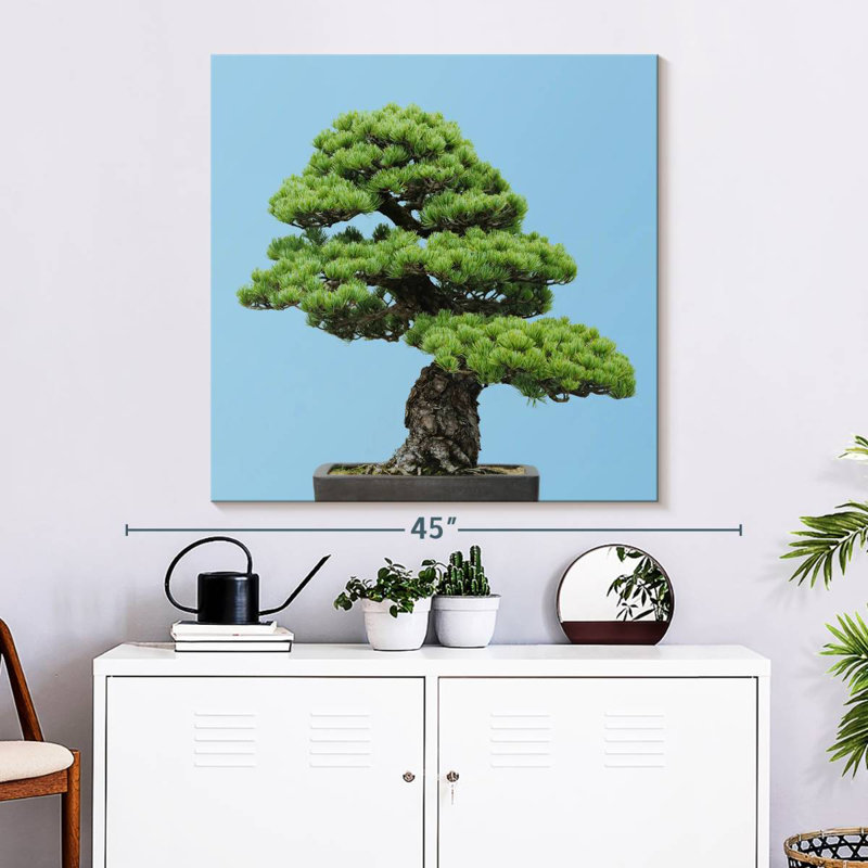 Harnek Japanese Pine Tree