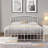 Lindsey Metal Open-Frame Bed-60014388-60014387
