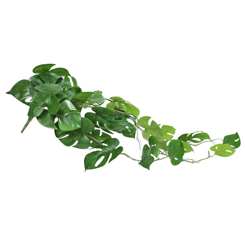 Plante suspendue 36 "Philodendron Monstera