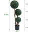 90cm Plant