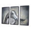 Portrait monochrome d'un cheval sauvage - 3 pièces, cadre flottant, impression sur toile-899368802-899368801
