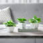 10.4cm Faux Foliage Plant in Pot