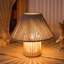 Metal Desk Lamp