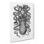 Octopus In Black & White by George Shaw - Wrapped Canvas Print-55360650
