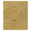 Prati Abstract Area Rug in Gold/Green-10214141