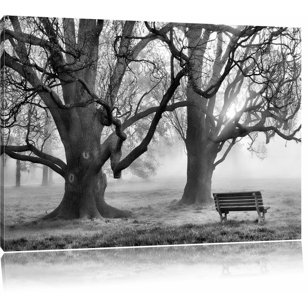 Leinwandbild Baum und Bank im Nebel in Monochrom