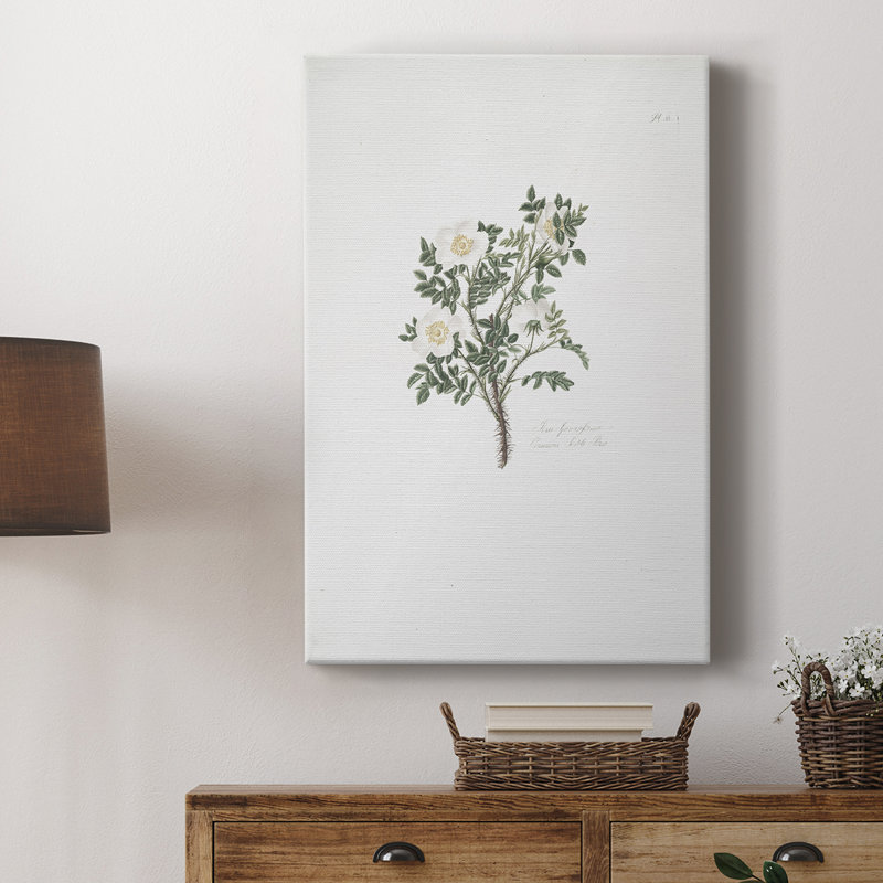 Imprimé floral rétro CCI - galerie Cavas, H 18 po x l 12 po