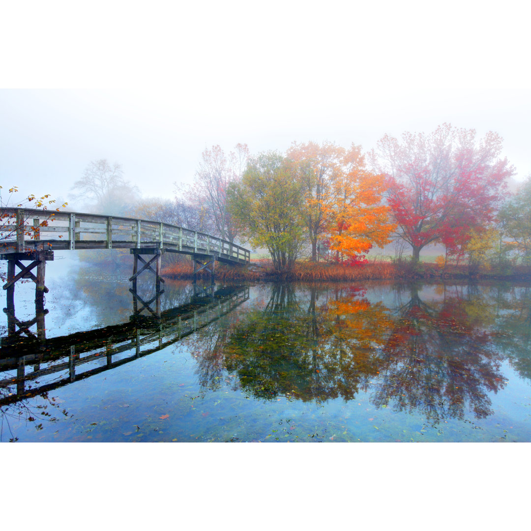 A Bridge On Pond von DenisTangneyJr - Kunstdrucke auf Leinwand