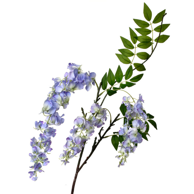 Vaporisateurs de glycine, Bleu