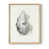 Naturel sélectionné