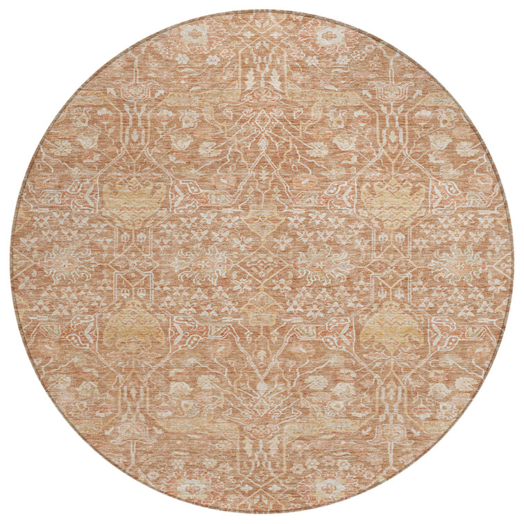 Machine Washable Indoor/Outdoor Chantille ACN1133 Coral Rug