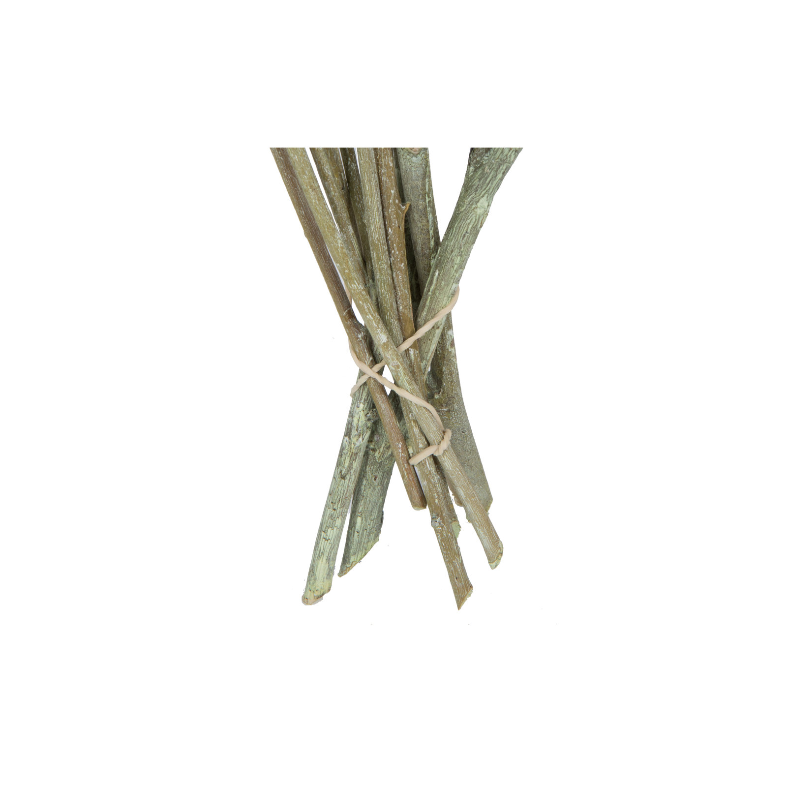 13'' Branch, Green