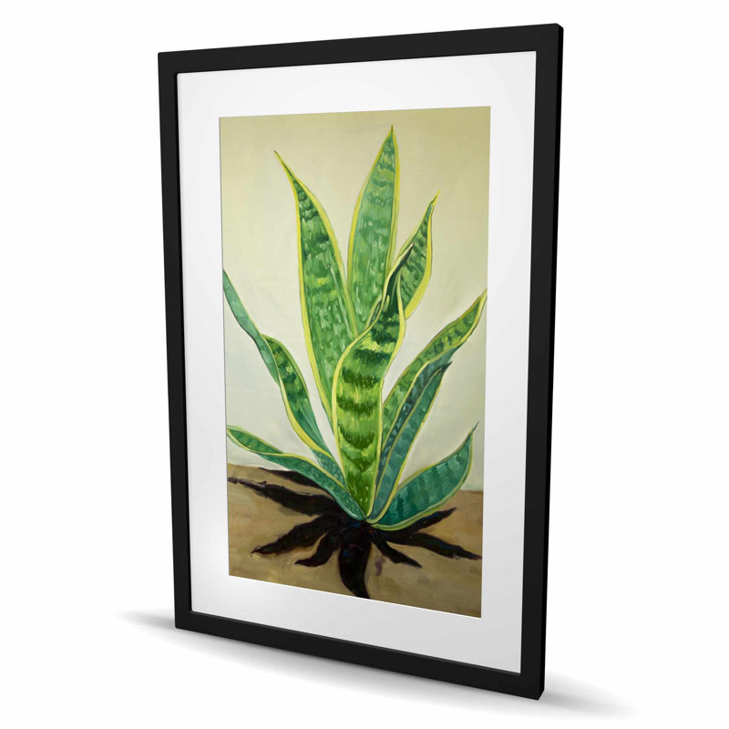 «Succulent Plant Mother-in-Law's Tongue», reproduction d'art encadrée, Black