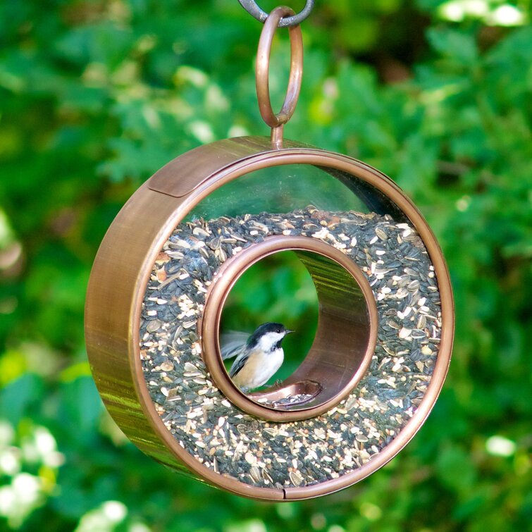 Barlitt Metal Hanging Decorative Bird Feeder