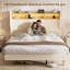 Upholstered Bed-1864794286-1864794280