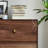 Walnut Storage Cabinet with Spacious Compartments