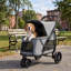 Poussette pliable pour animal de compagnie, poussette 3 roues, fenêtre en filet, coussin lavable, pour chiens de taille moyenne-132273933