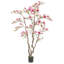 82" Pink Magnolia Flowering Tree in Pot